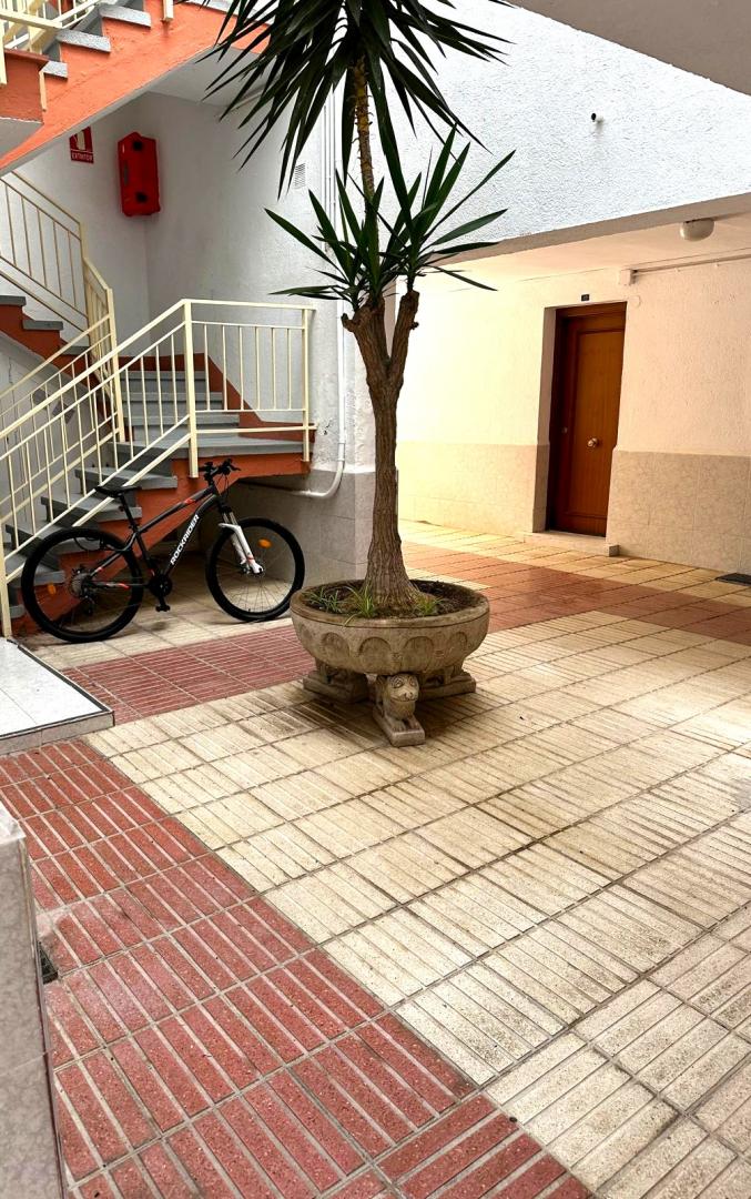 Imagen-8